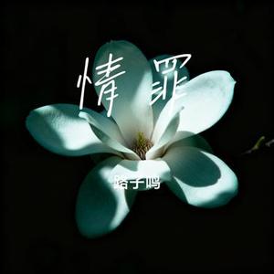 情罪 (Cover 陈瑞)