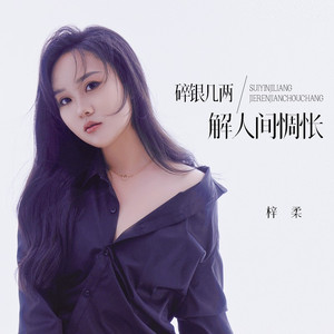 碎银几两解人间惆怅 (Live合唱版)