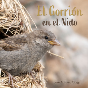 De Cómo Gorri Se Dedicó a las Artes Escénicas