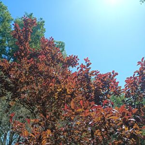 向善若水（纯音乐）