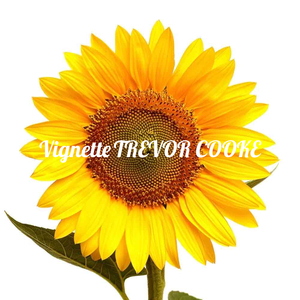 Vignette