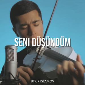 Seni Düşündüm (Violin)