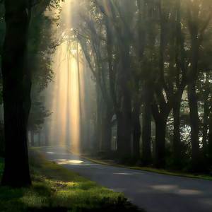 Cuoi Cung Em La Gi Vay