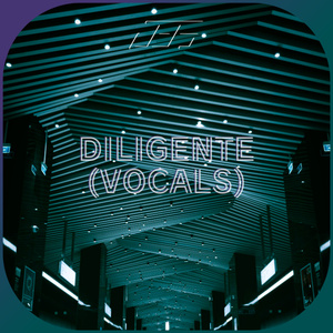 DILIGENTE (VOCALS)
