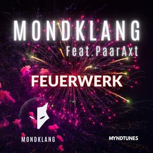 Feuerwerk (feat. PaarAxt) (Radio Edit)