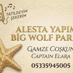 tatildeyim şekerim (feat. gamze coşkun)