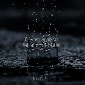 Shoreline Ambulation