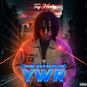 YWR
