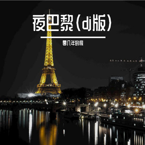 夜巴黎（dj版）（翻自 魏小然）