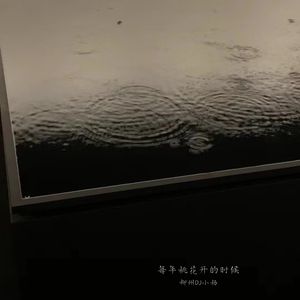 每年桃花开的时候