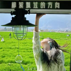 柳絮飞过的方向