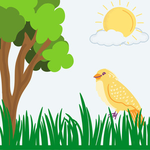 Suara Masteran Burung Segala Jenis