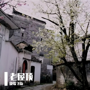 老屋顶