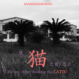 一只叫“冷漠”的猫 The Cat Named "Al00f"