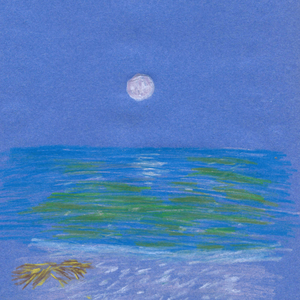 Tide