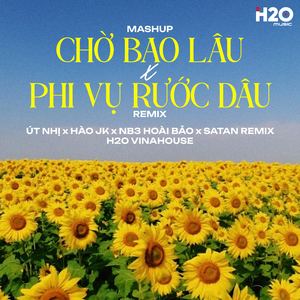 Mashup Chờ Bao Lâu x Phi Vụ Rước Dâu (Remix)