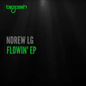 Drop Down Low (Original Mix)