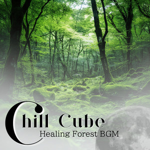 Tranquil Paths Ahead