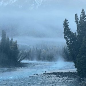 给我个机会好吗