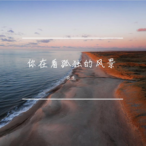 你在看孤独的风景