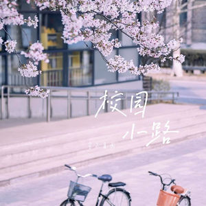 校园小路