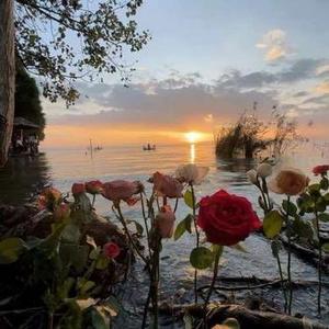 天后 (R&B版) (Cover 陈势安)