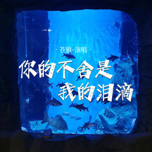 你的不舍是我的泪滴 (Live合唱版)