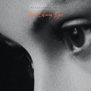 Your Shining Eyes