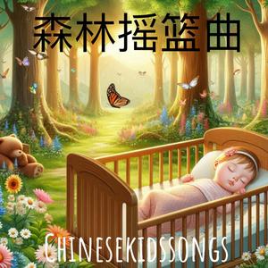 森林摇篮曲