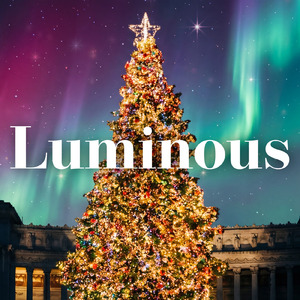 The Christmas Suprise