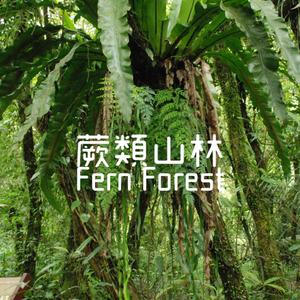 小青蛙跳跳跳 Little Frog