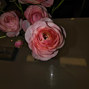 AI创作_晴天你好-整曲