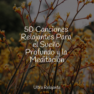 Relajarse