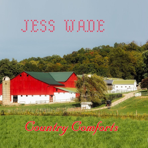 A Perfectly Good Woman