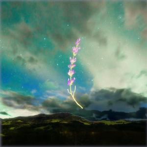 Cove (feat. Little Ambiguous)