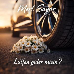 Lütfen gider misin ?