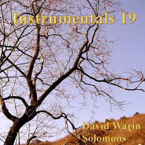 Lamento D'arianna (Arr. David Warin Solomons for Flute Quintet)