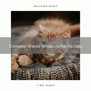 Relaxing Weather Whispers For Home Cats