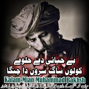 Be Hayai De Halwe Kolo Sagh Saro Da Changa Punjabi Punjabi Kalam Mian Muhammad Bakhsh Saif ul Malook #mianmuhammadbakhsh #saifulmalook