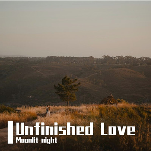 Unfinished Love