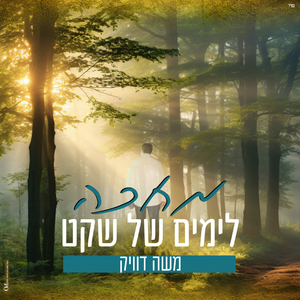 מחכה לימים של שקט