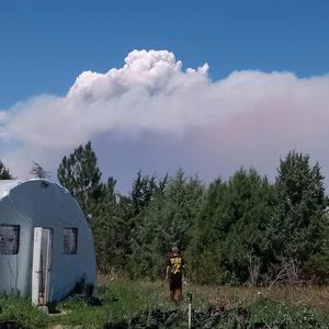 Wonder why " freestyle"