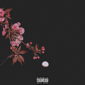 鏡花雪月.（Prod By.aura+27pacc)