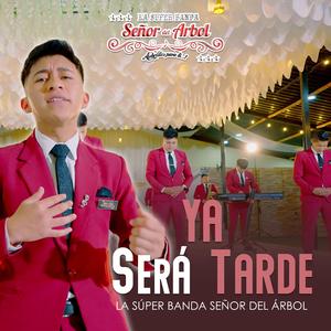 Ya Sera tarde