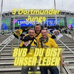 BVB (du bist unser Leben)