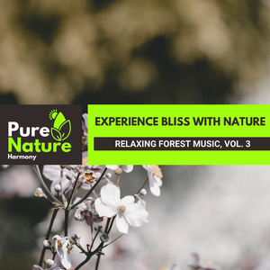 Wet Earth and Rain Droplet Music