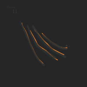The Reveal