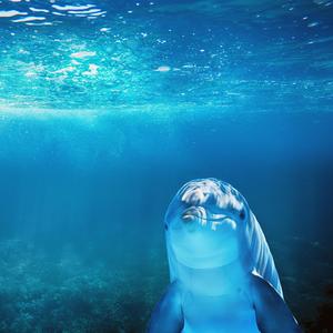 轻松哄睡（八音盒）