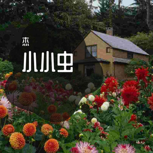 终于我变成了和你一样的人