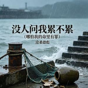 没人问我累不累(哪怕我的命里有罪)